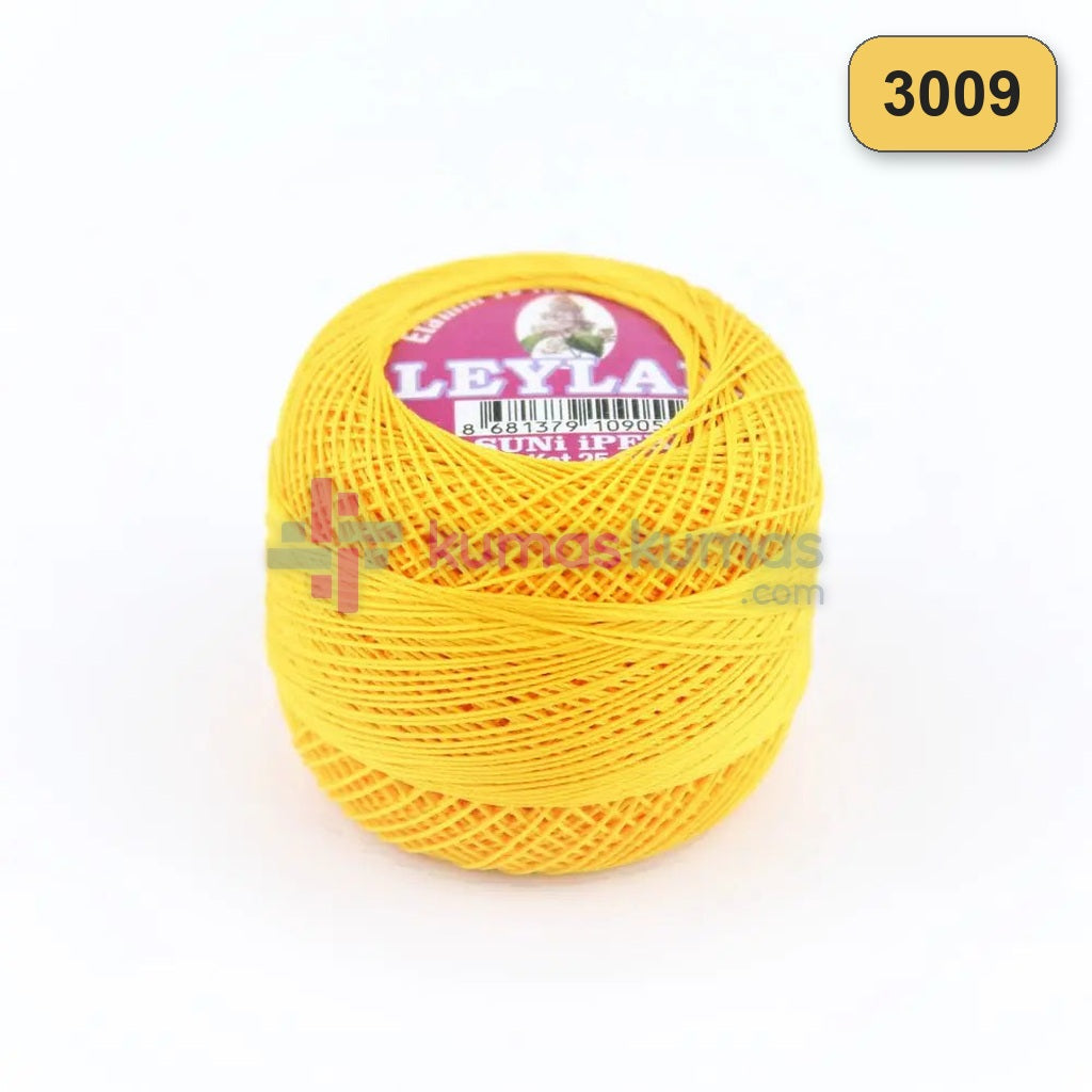 3009