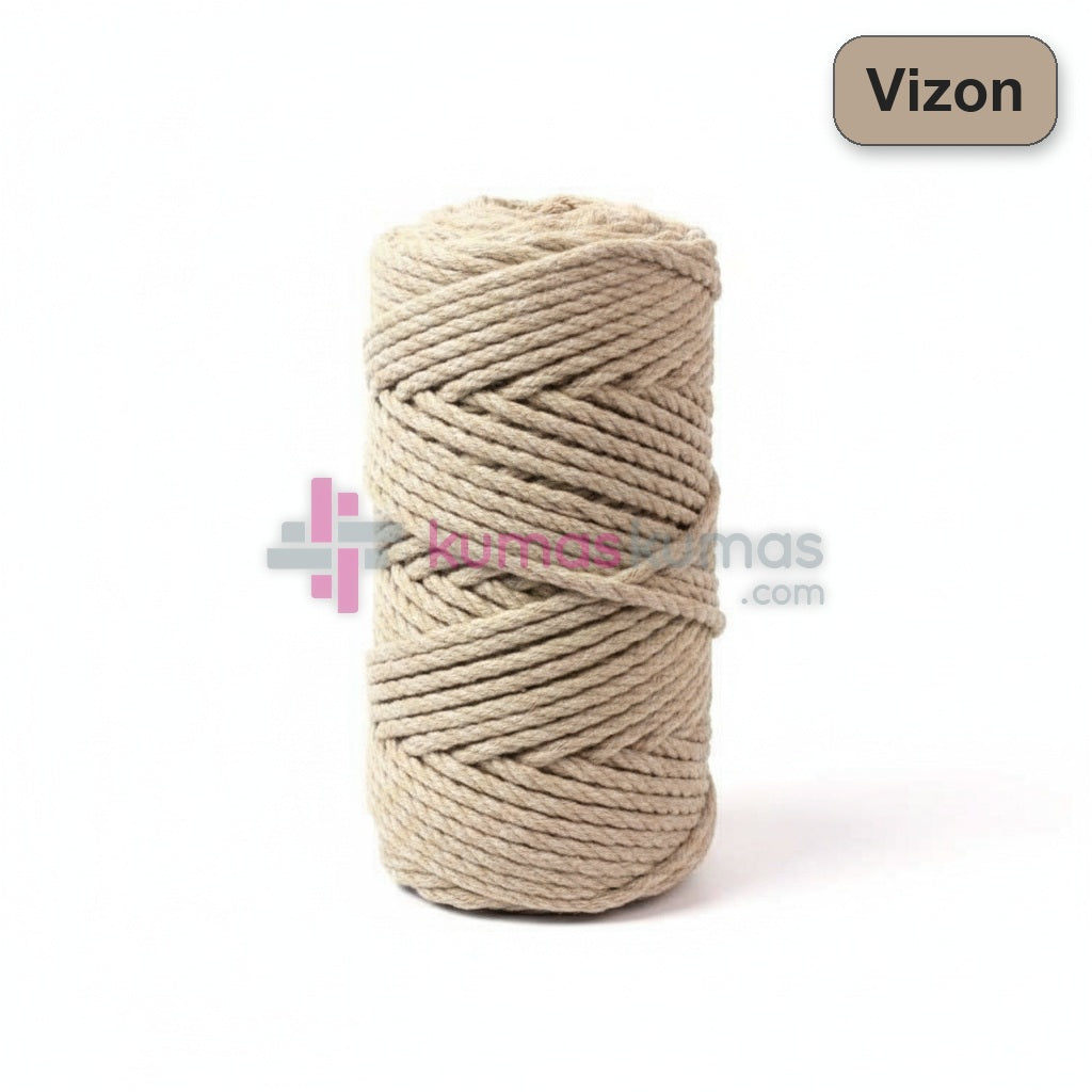 Vizon